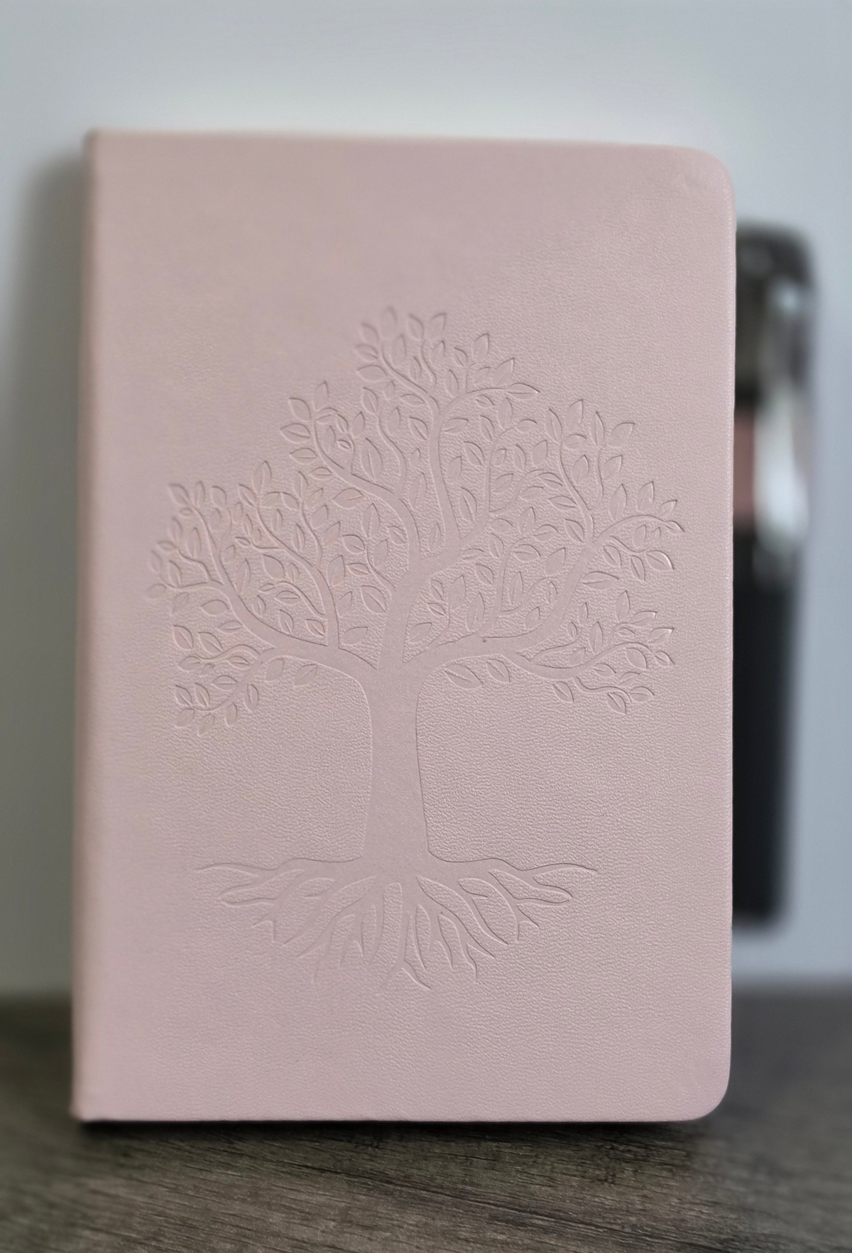 MYSTERY CAPSULES- STATIONERY