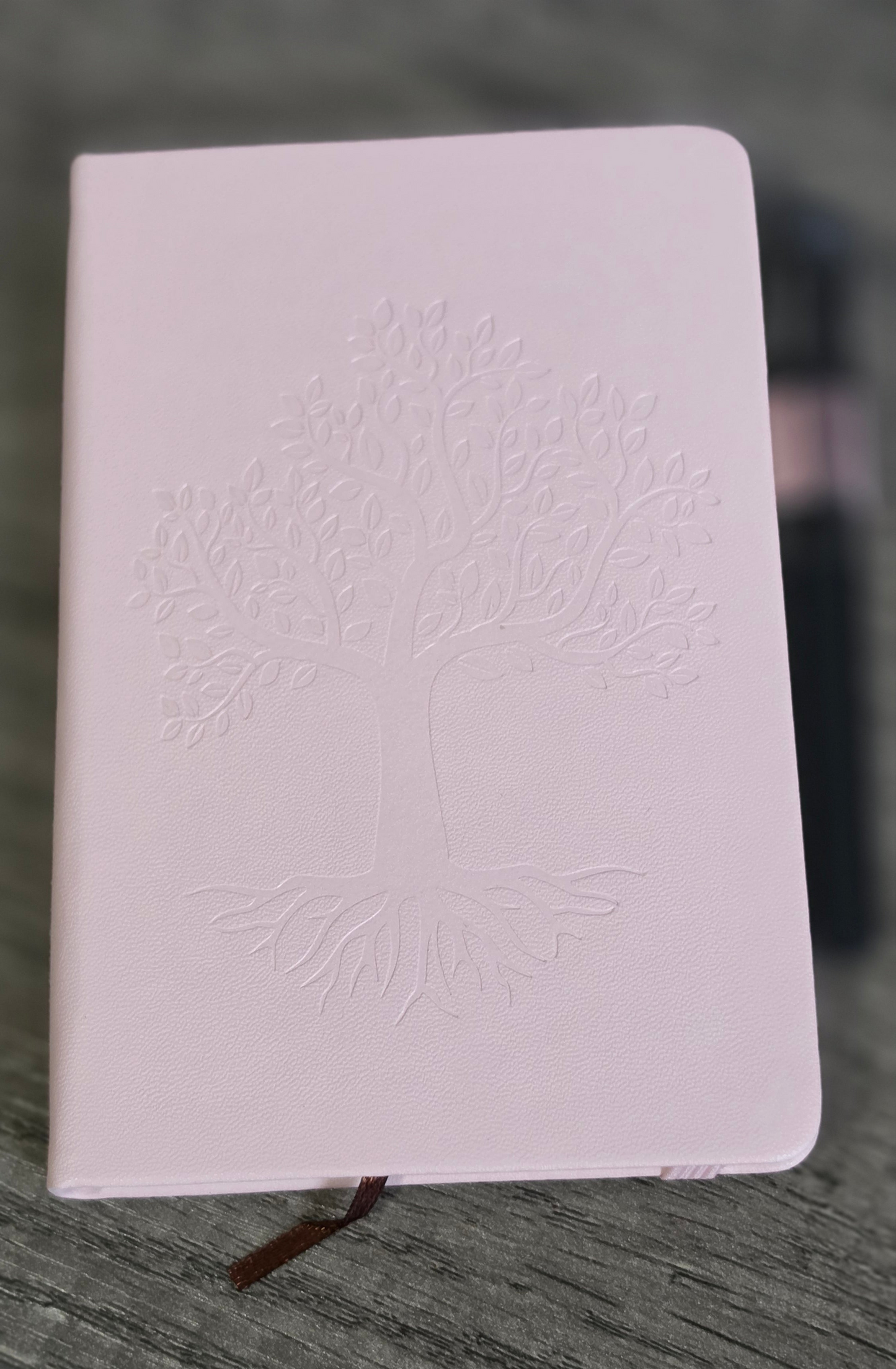 STATIONERY SCOOPS